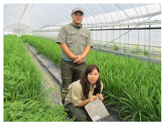 ハウス内での碇夫妻