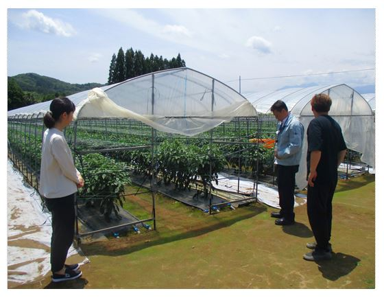 ハウスの前での意見交換