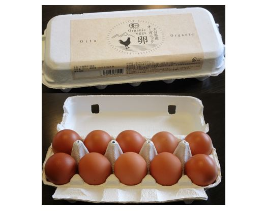 オーガニック卵のケースと中の卵