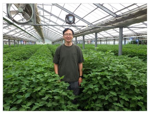 ハウスの大葉と(有)植木農園代表