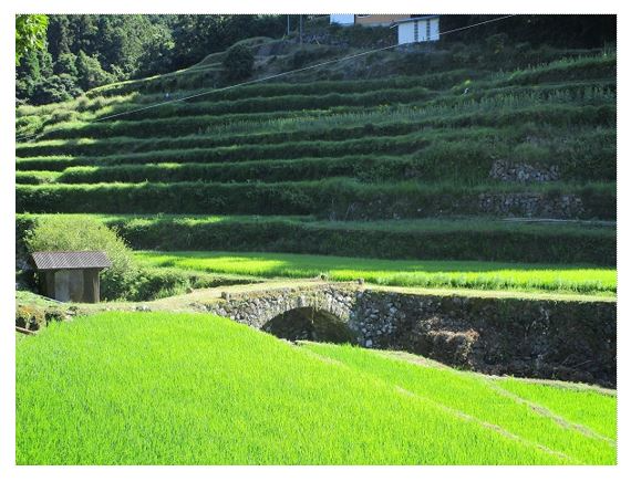 石橋と棚田