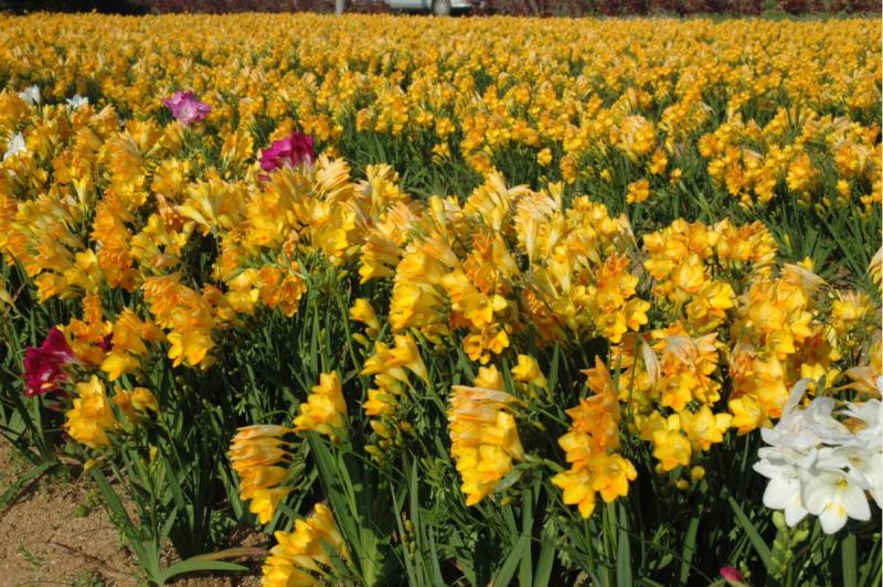 過去の更新情報は当画像右リンクよりご覧いただけます。