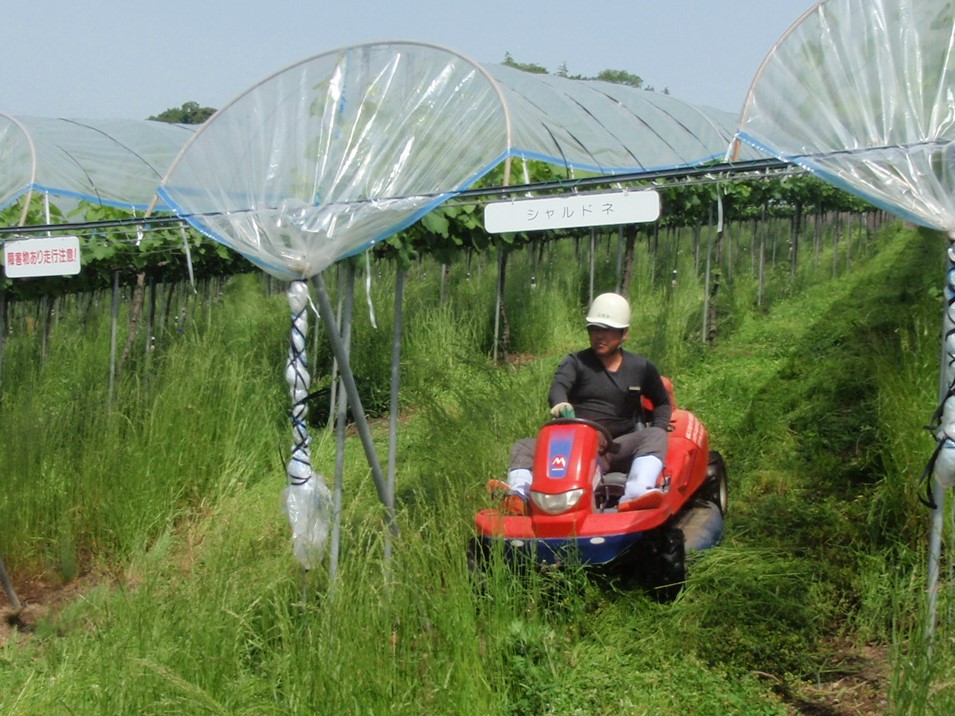 大型機械による除草作業