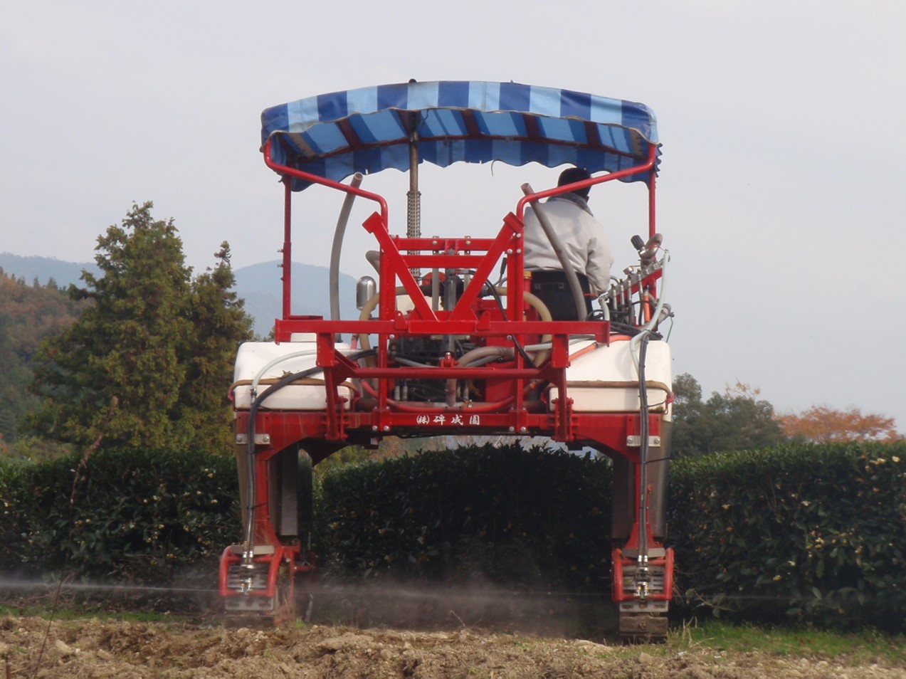 大型機械による収穫作業