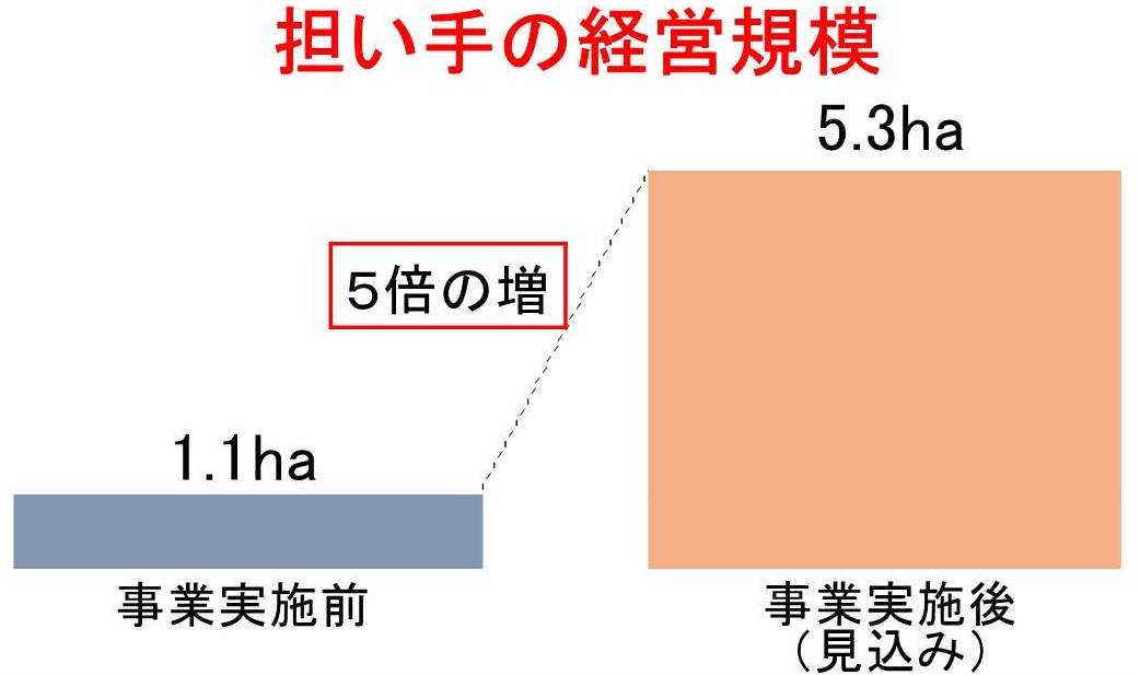 担い手の経営規模