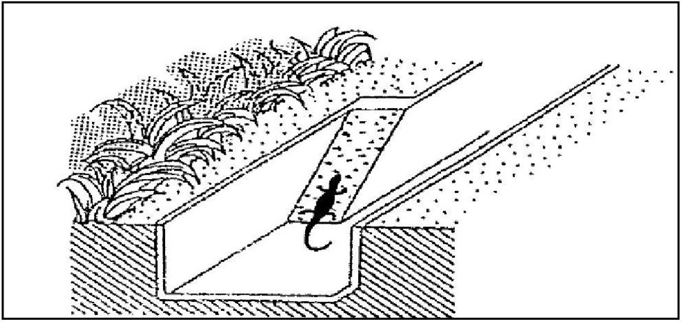 小動物保護型側溝