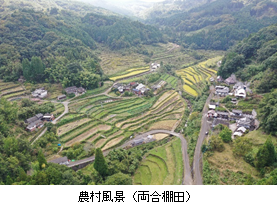 農村風景の写真（両合棚田）