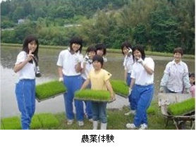 農業体験の写真