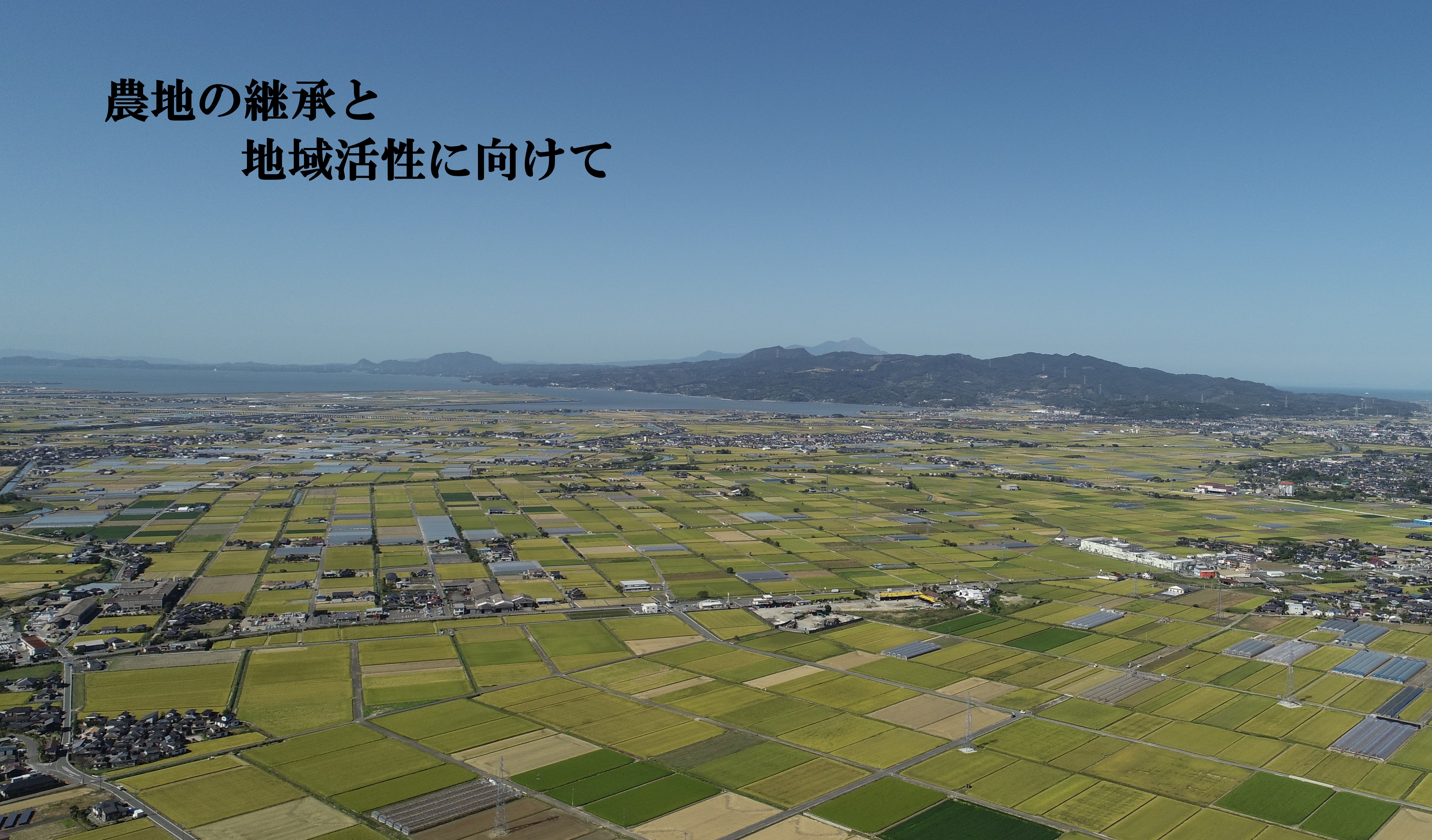 受益地一望(稲刈り前)