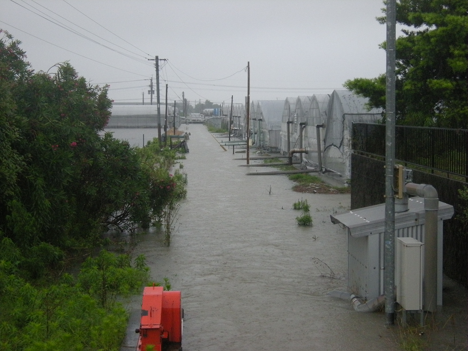 排水機場（before）