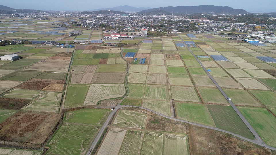 区画整理（before）