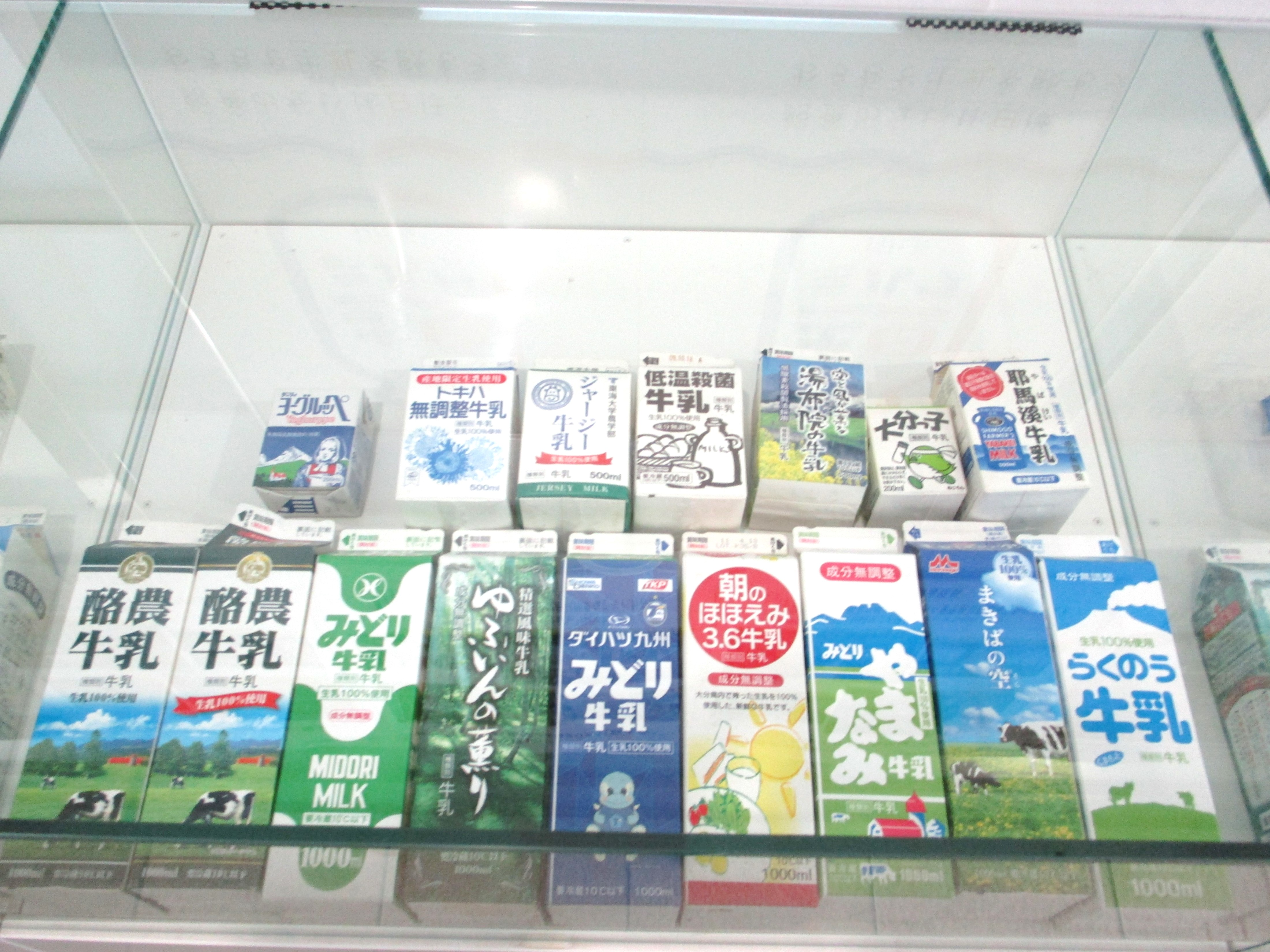 画像6