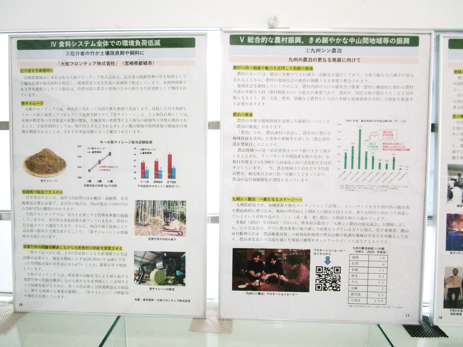 画像４