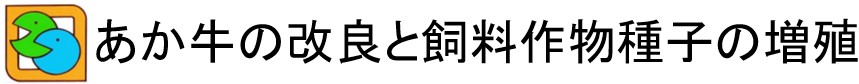 あか牛の改良と飼料作物種子の増殖