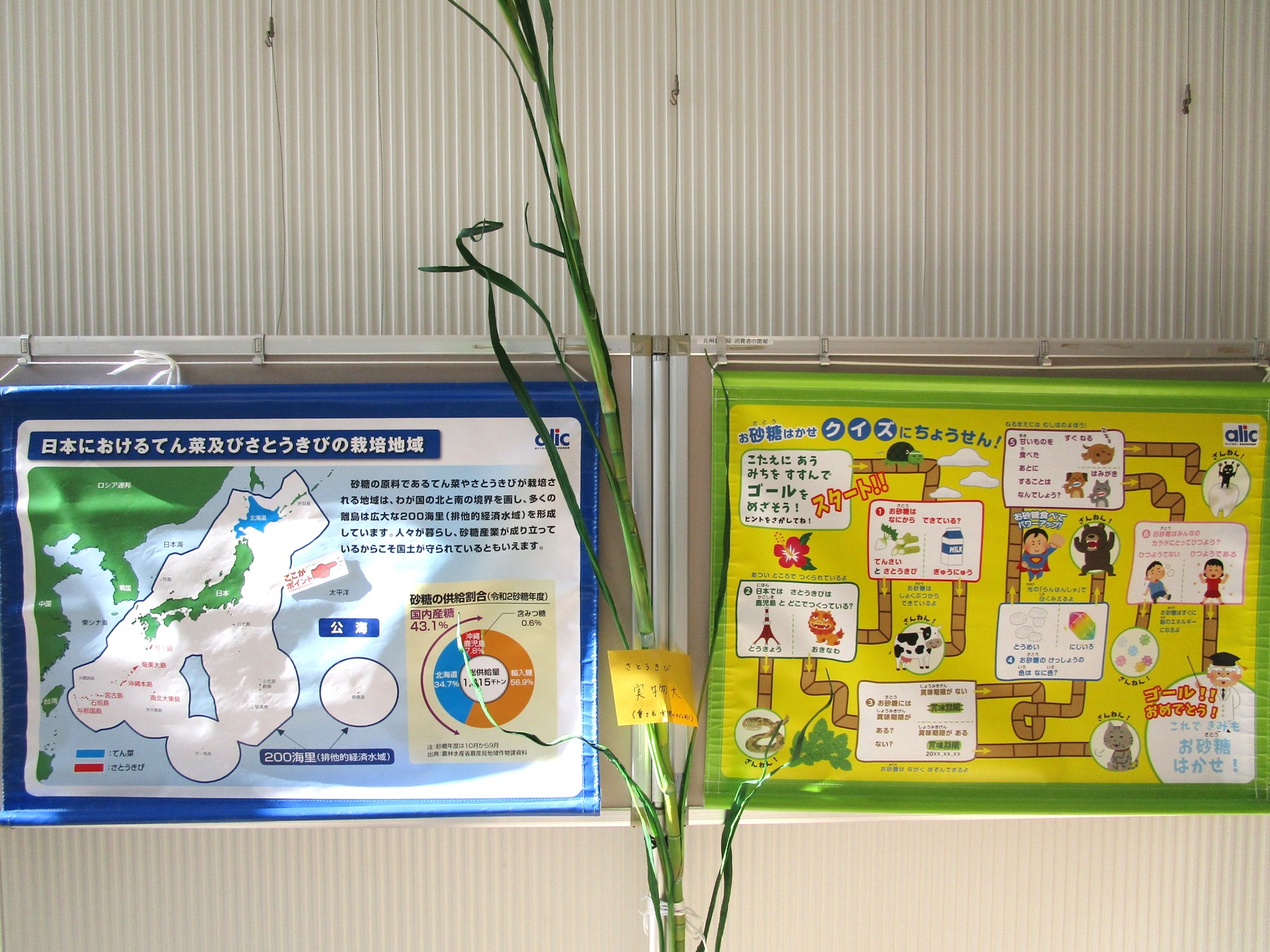 1階消費者の部屋 パネル展示写真