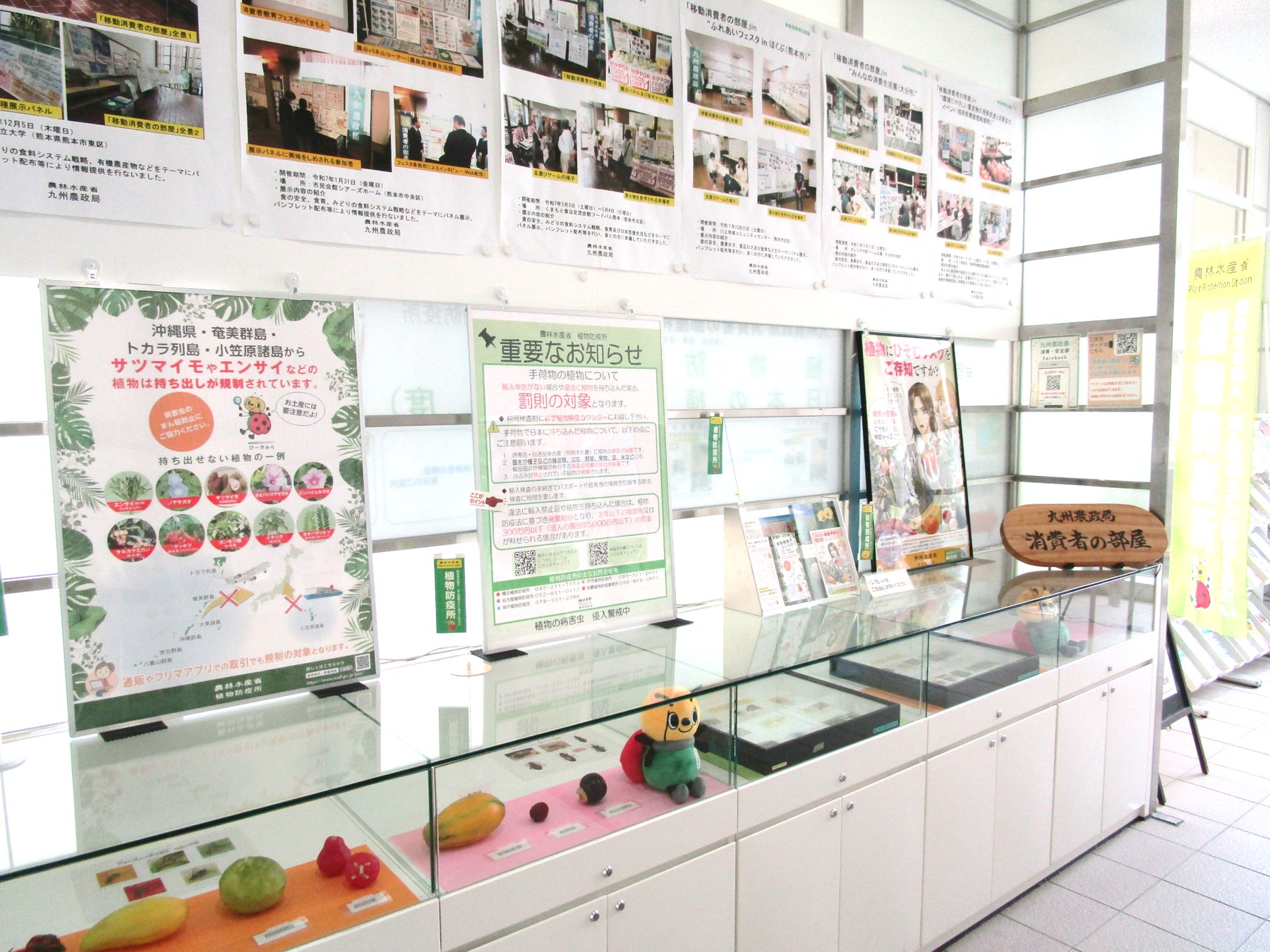 １階消費者の部屋北側入口からの風景