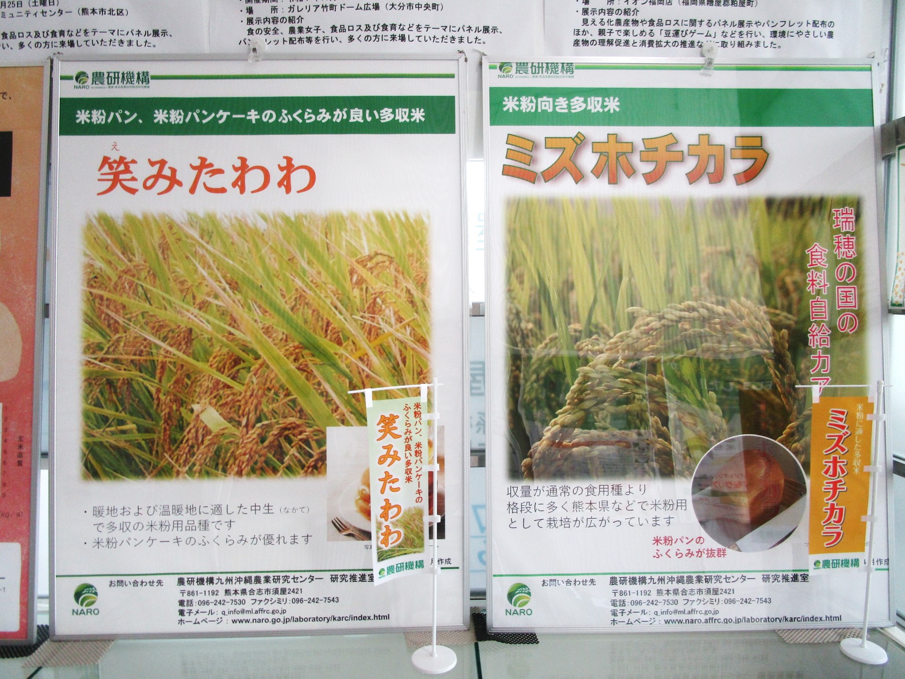 １階消費者の部屋　ガラスケース上のパネル展示風景