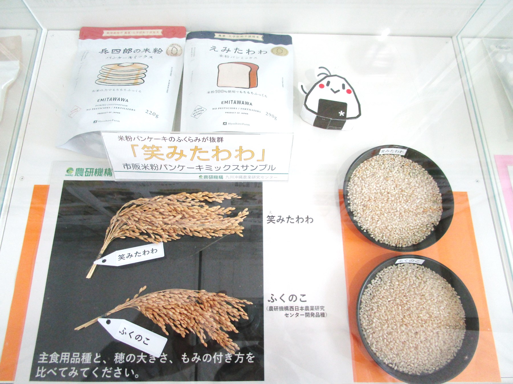 １階消費者の部屋　ガラスケース上内の展示風景