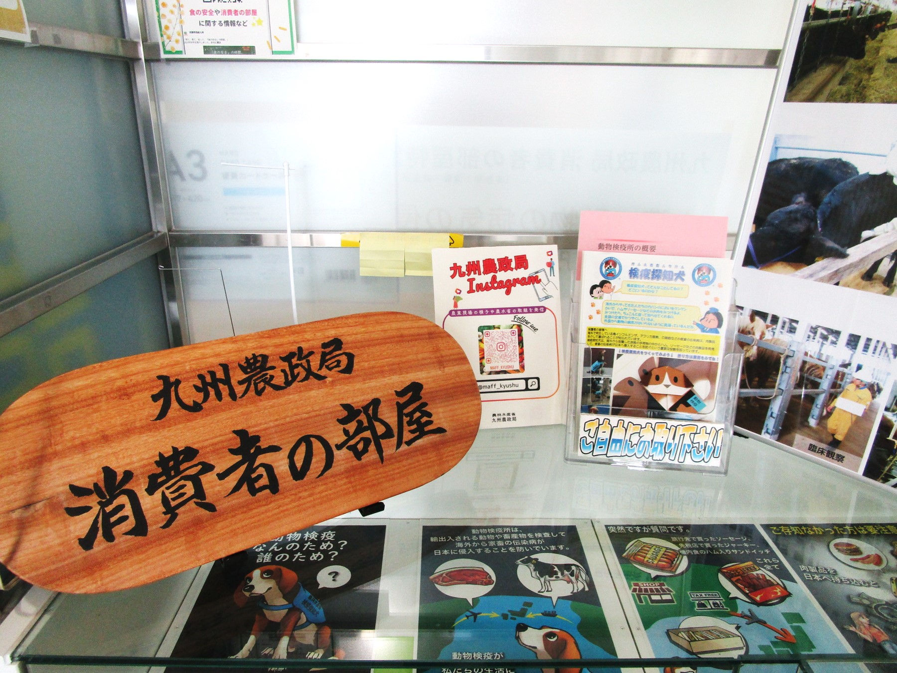 04_1階消費者の部屋パンフレット及びガラスケース内の展示風景