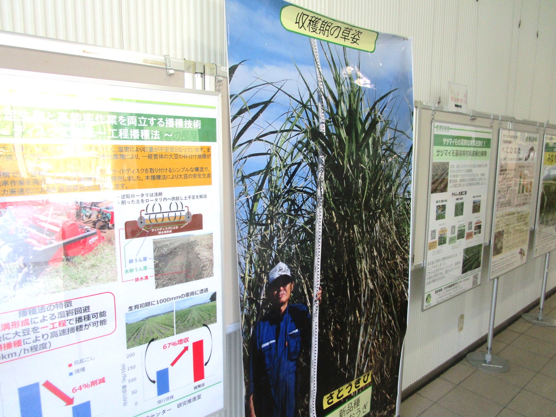 １階消費者の部屋南側からの展示風景
