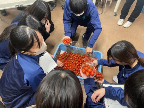 松橋高等学校2