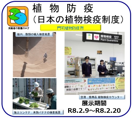 植物防疫（日本の植物検疫制度）