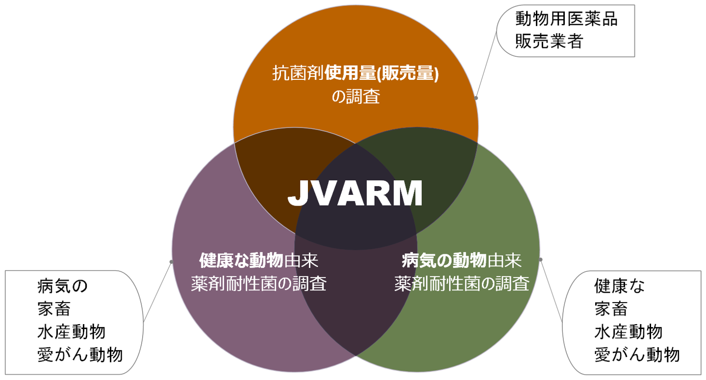 JVARM_全体紹介ベン図(簡易版)