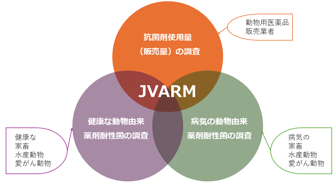 jvarm