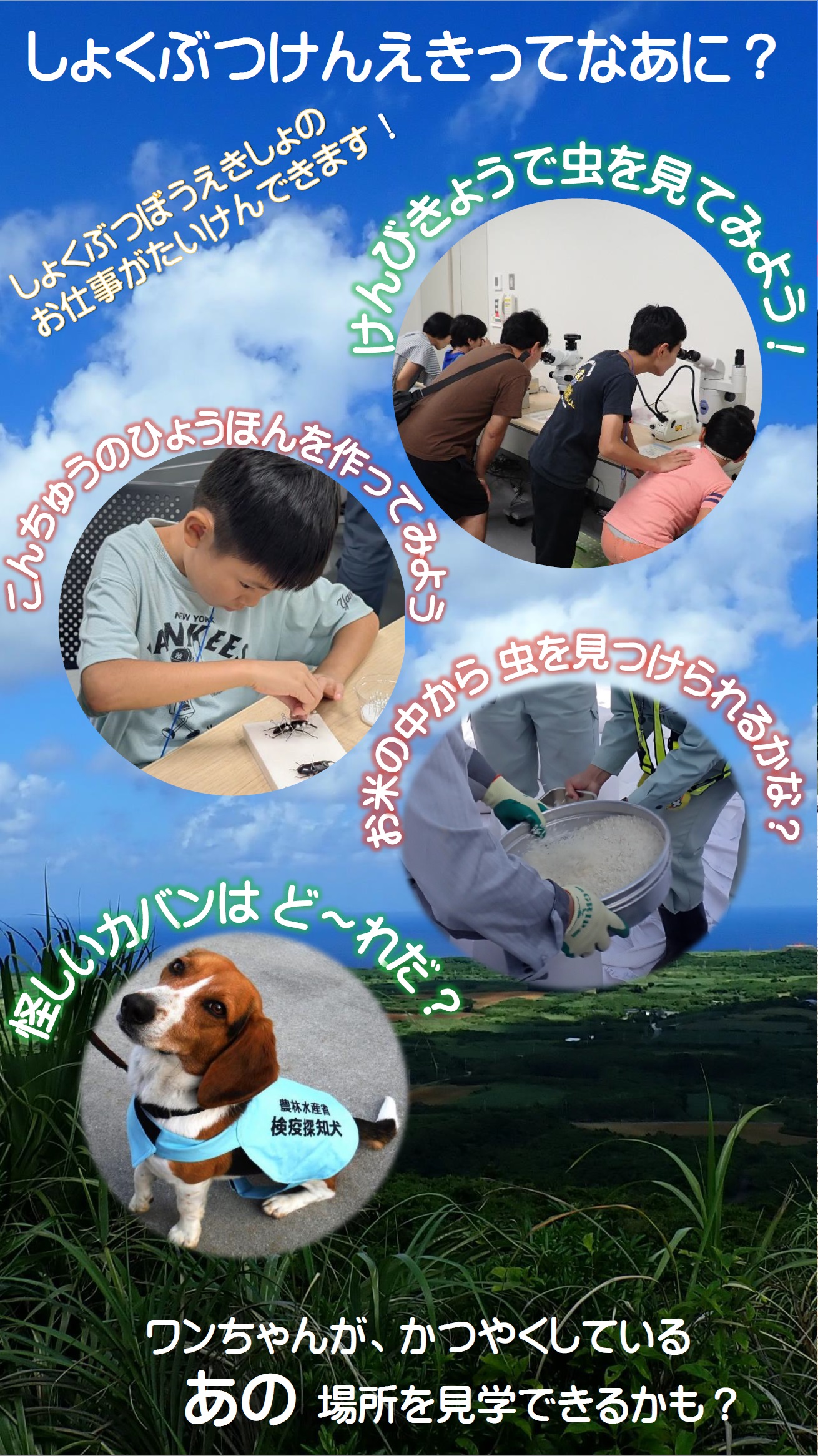 naha_kengaku26s.jpg