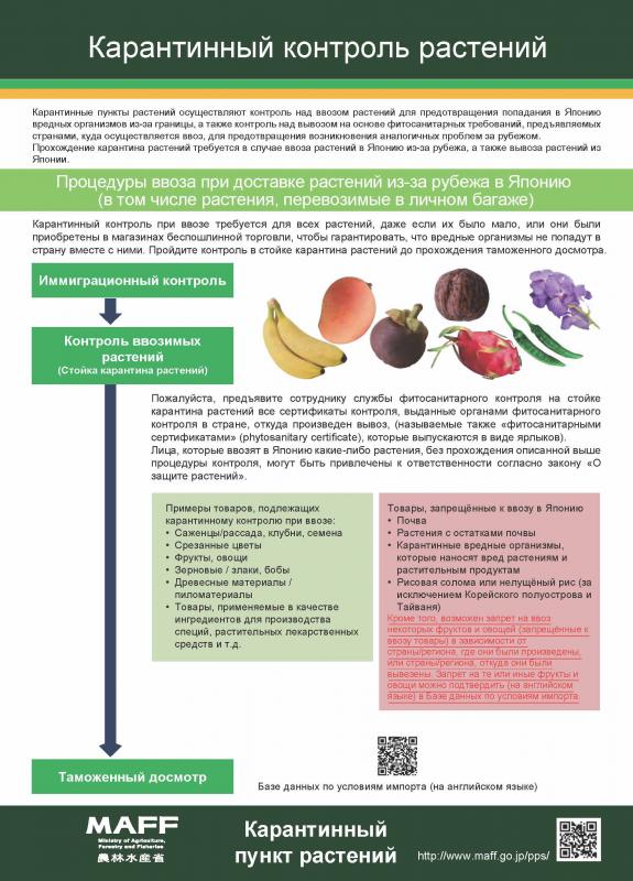 植物検疫制度チラシ_ロシア語版201603