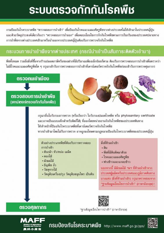 植物検疫制度チラシ_タイ語版201603