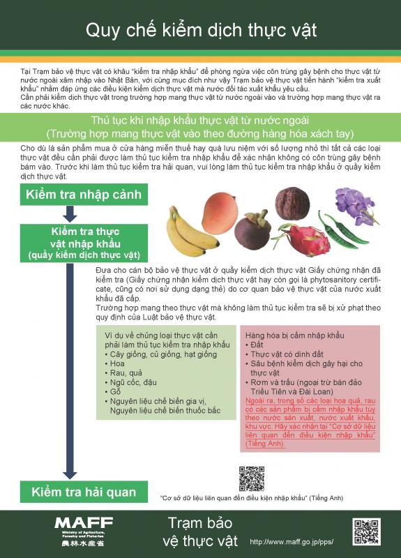 植物検疫制度チラシ_ベトナム語版201603