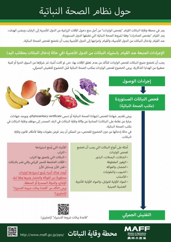 植物検疫制度チラシ_アラビア語版
