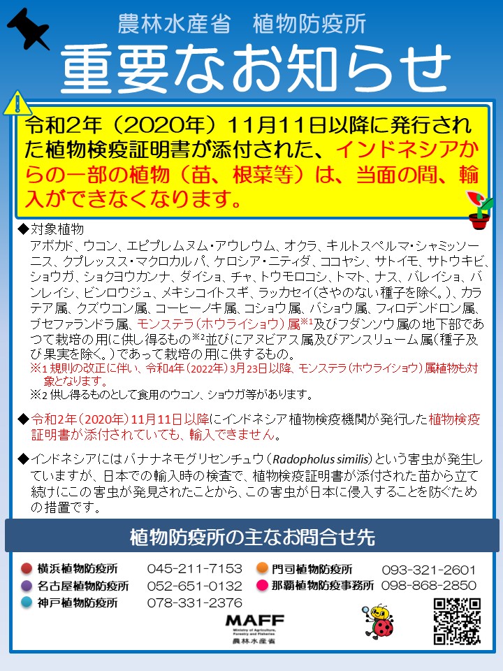 日本語版ビラ(重要なお知らせ)インドネシアからのバナナネモグリセンチュウ