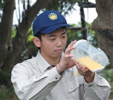 ミバエ類のトラップ調査