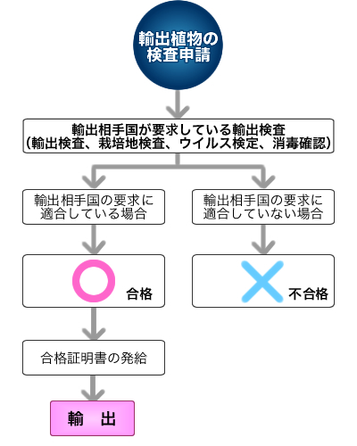 輸出検査の流れ