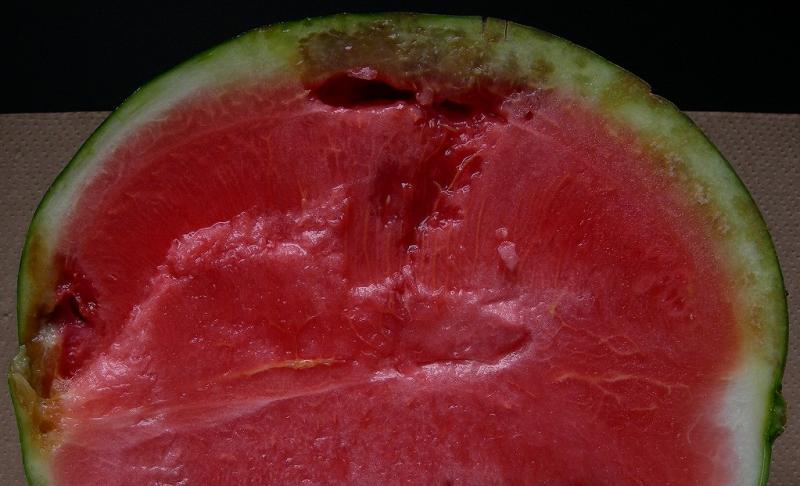 スイカ果実汚斑細菌病果実