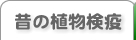 昔の植物検疫を表示します