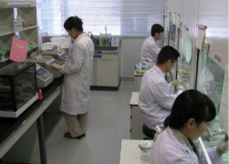 LMO検査風景(遺伝子診断法)