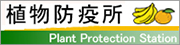 植物防疫所バナー小