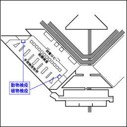 横浜植物防疫所成田支所第1PTB旅客担当