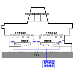 横浜植物防疫所成田支所
