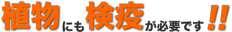 植物にも検疫が必要です。