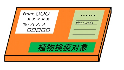 外装に植物検疫対象と表示した例