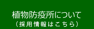 植物防疫所について