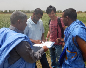 モーリタニアでの調査風景(農家調査) モーリタニアでの調査風景(農家調査)