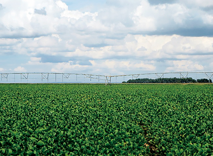 A soy field and center pivot irrigation in Brazils
