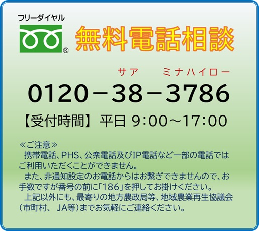 無料電話相談はフリーダイヤル0120383786まで