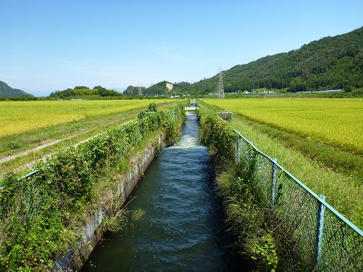 幹線用水路２