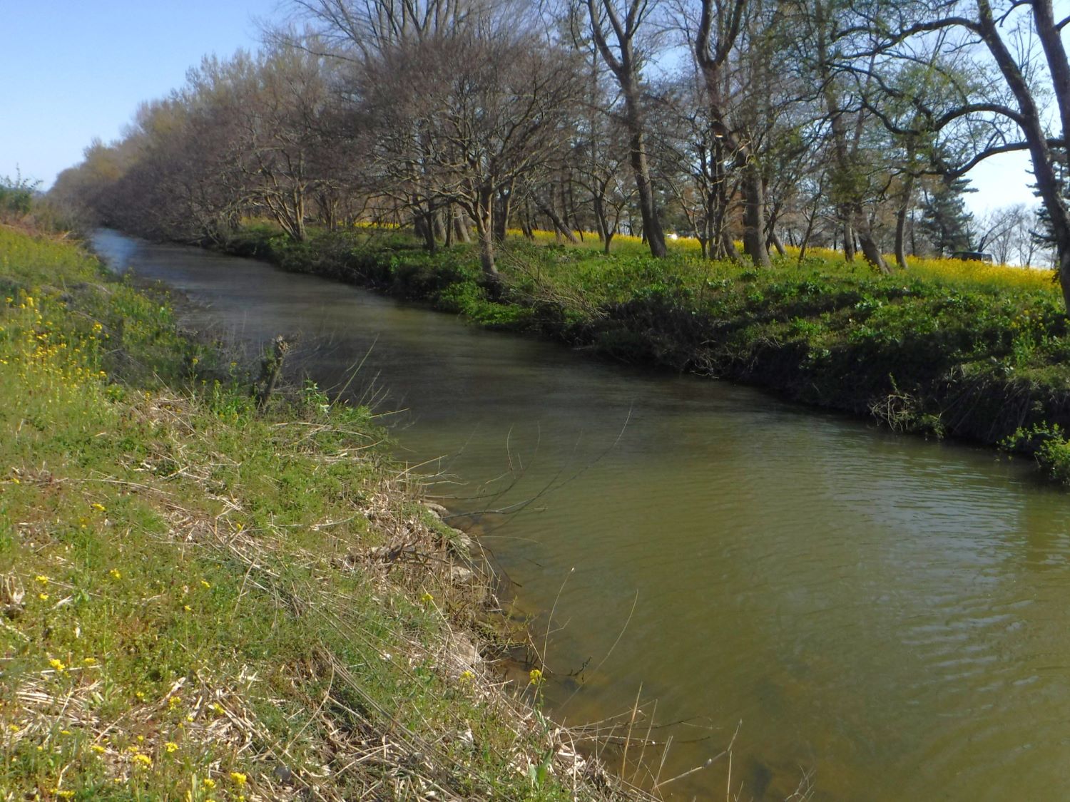 沈砂池（施工前）